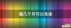 猫几个月可以洗澡