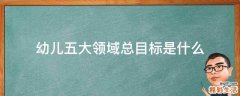 幼儿五大领域总目标是什么