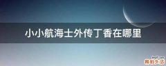小小航海士外传丁香在哪里