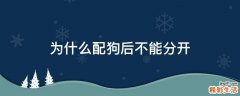 为什么配狗后不能分开