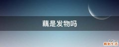 藕是发物吗