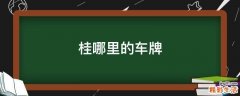 桂哪里的车牌
