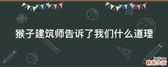 猴子建筑师告诉了我们什么道理