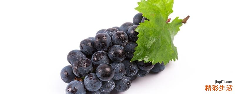葡萄不能和什么东西一起吃 吃葡萄为什么不能马上喝水
