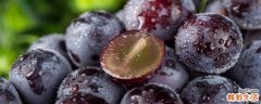 吃葡萄去皮好还是不去皮好 葡萄皮有白色粉末说明什么