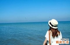 白血病病因病机