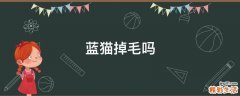 蓝猫掉毛吗
