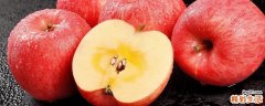吃苹果干的好处和坏处 苹果干和苹果的营养价值一样吗