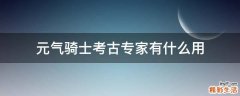 元气骑士考古专家有什么用