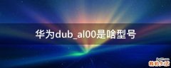 华为dub_al00是啥型号