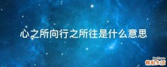 心之所向行之所往是什么意思