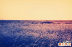 进行性脊髓性肌萎缩症引发什么疾病？