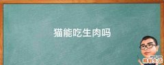 猫能吃生肉吗
