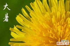 大暑过后什么时候凉快