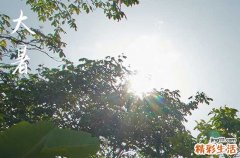 大暑热还是处暑热