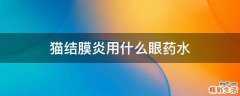 猫结膜炎用什么眼药水