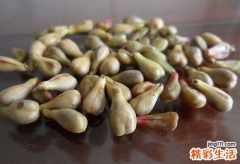 葡萄籽的功效与作用