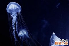 排尿障碍是怎么回事？