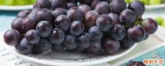 葡萄的热量 葡萄减肥期可以吃吗
