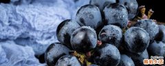葡萄是酸性还是碱性水果 葡萄是高糖还是低糖水果
