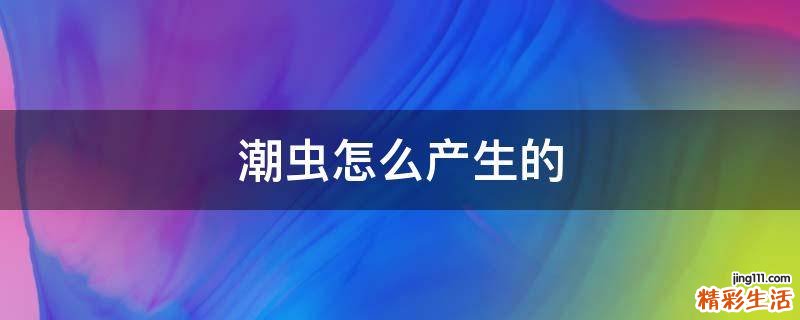 潮虫怎么产生的
