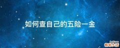 如何查自己的五险一金