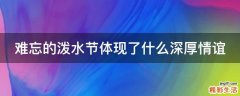 难忘的泼水节体现了什么深厚情谊