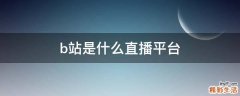 b站是什么直播平台