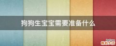 狗狗生宝宝需要准备什么