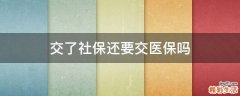 交了社保还要交医保吗
