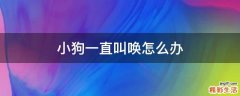 小狗一直叫唤怎么办