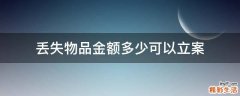 丢失物品金额多少可以立案