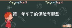 第一年车子的保险有哪些