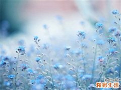 成年人磨牙的习惯与情绪有关！