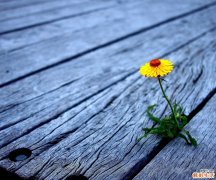 2 告别草莓鼻，你准备好了么？