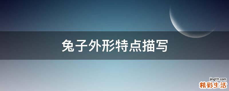 兔子外形特点描写