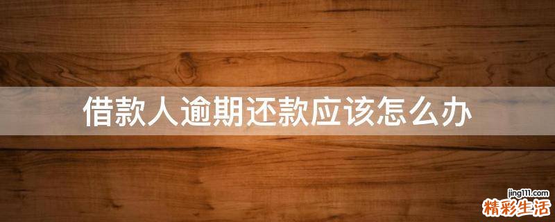 借款人逾期还款应该怎么办