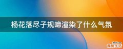 杨花落尽子规啼渲染了什么气氛