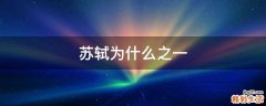苏轼为什么之一