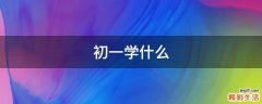 初一学什么