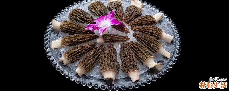 羊肚菌可以和枸杞一起炖吗 羊肚菌红枣枸杞排骨汤功效