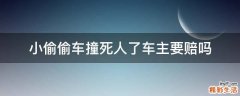 小偷偷车撞死人了车主要赔吗