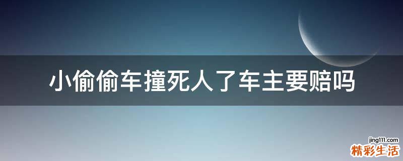 小偷偷车撞死人了车主要赔吗