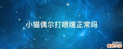 小猫偶尔打喷嚏正常吗