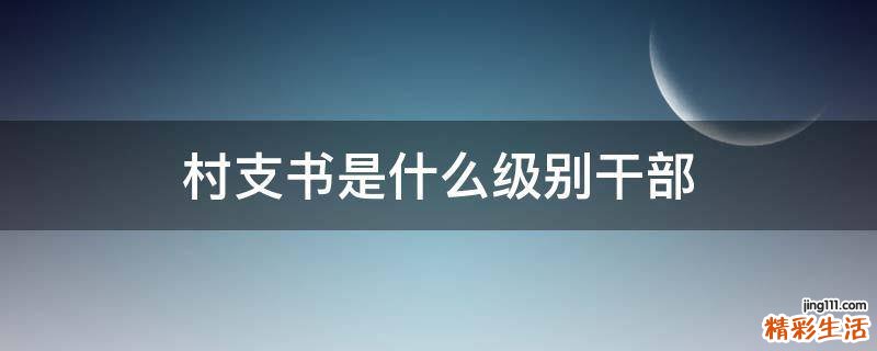 村支书是什么级别干部