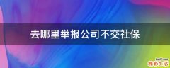 去哪里举报公司不交社保