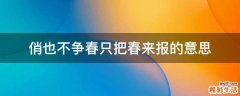 俏也不争春只把春来报的意思