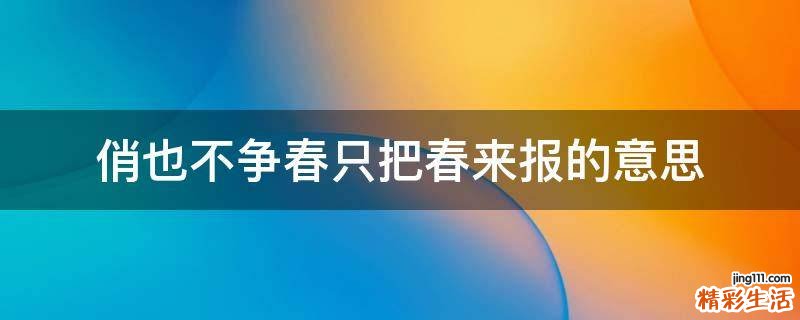 俏也不争春只把春来报的意思
