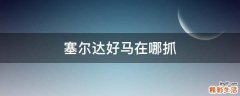 塞尔达好马在哪抓