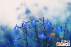 认识新生儿呼吸窘迫综合征